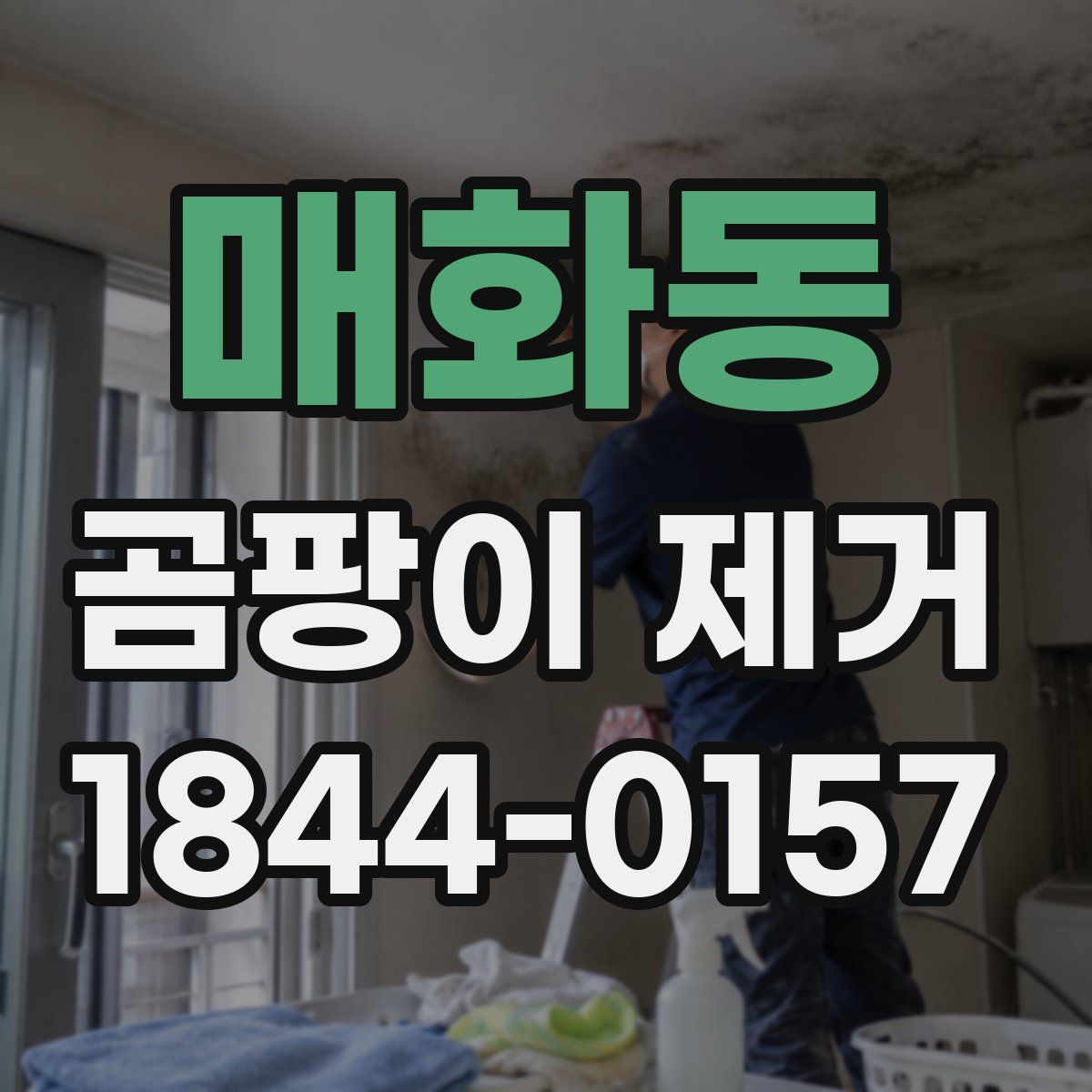 매화동 곰팡이 제거