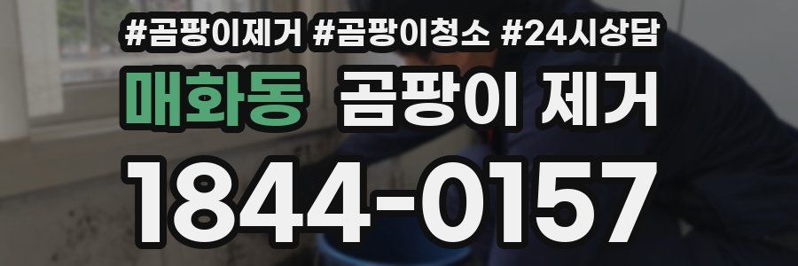매화동 곰팡이 제거