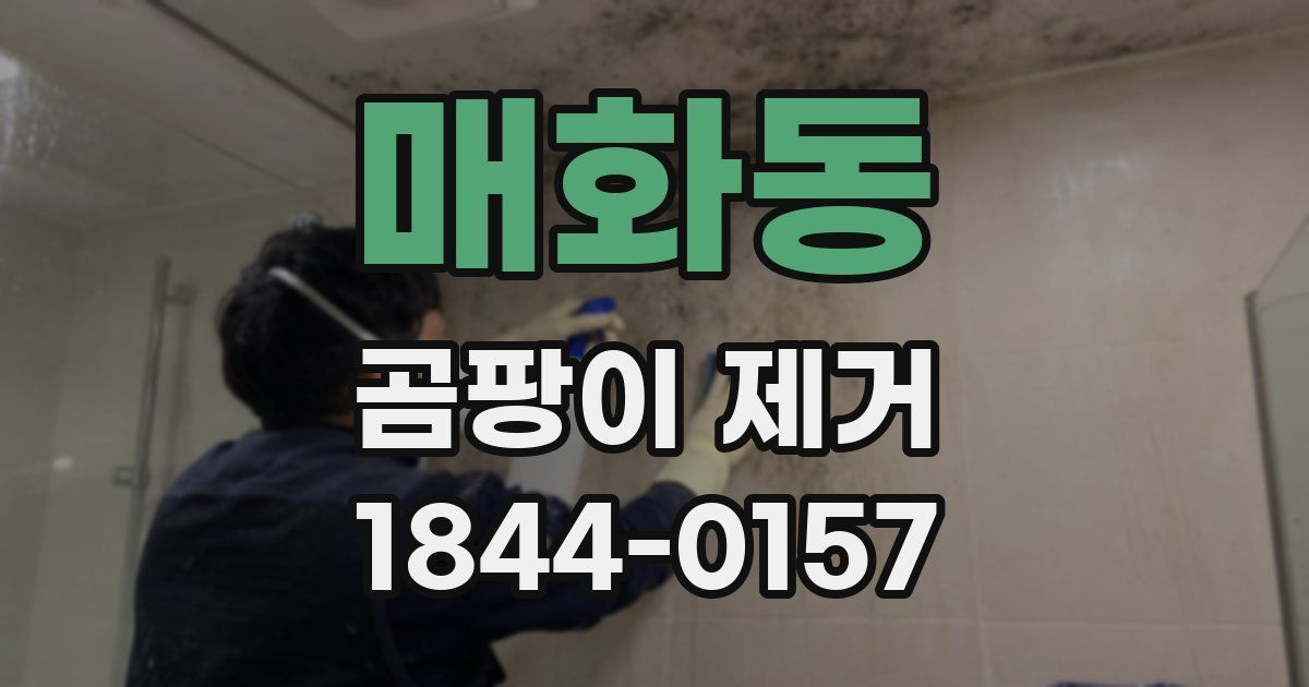 매화동 곰팡이 제거