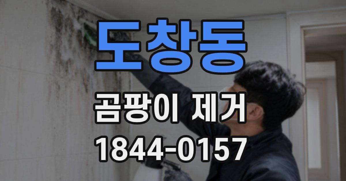 도창동 곰팡이 제거