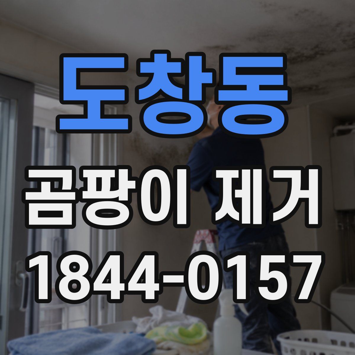 도창동 곰팡이 제거