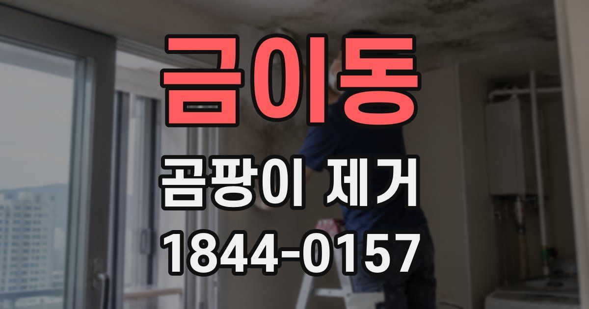 금이동 곰팡이 제거