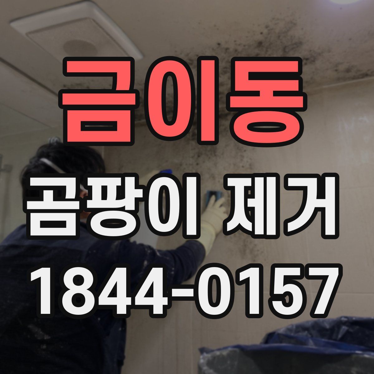 금이동 곰팡이 제거