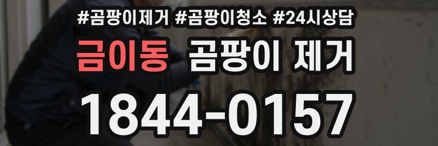 금이동 곰팡이 제거