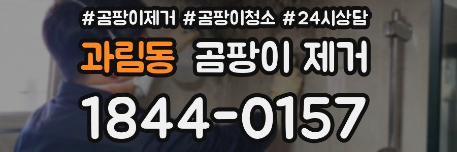 과림동 곰팡이 제거