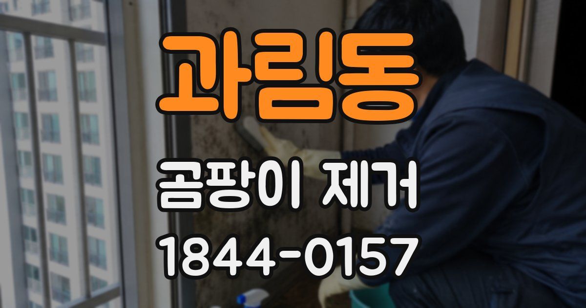 과림동 곰팡이 제거