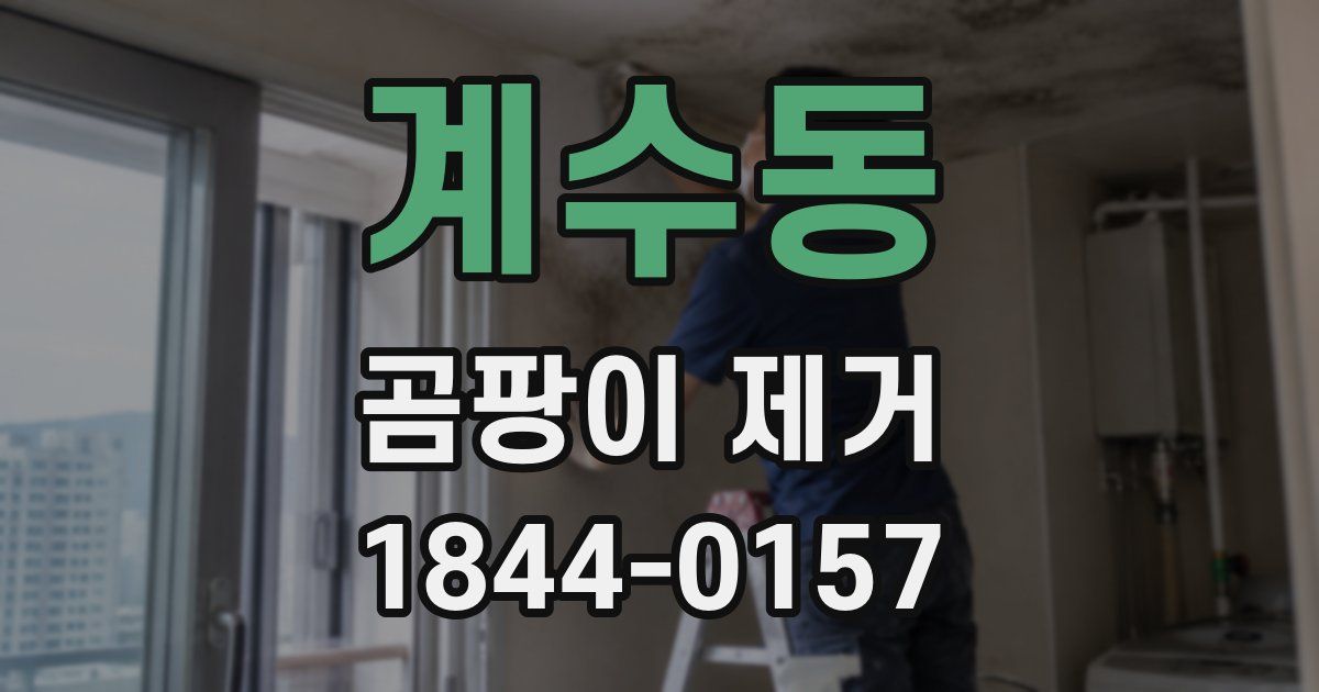 계수동 곰팡이 제거