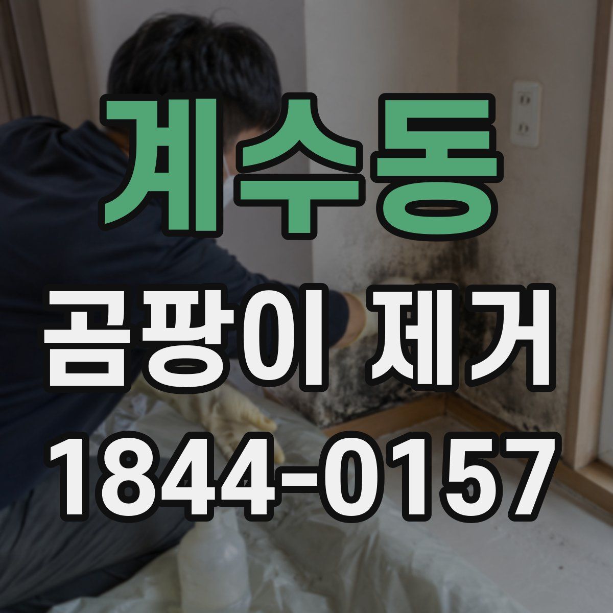 계수동 곰팡이 제거