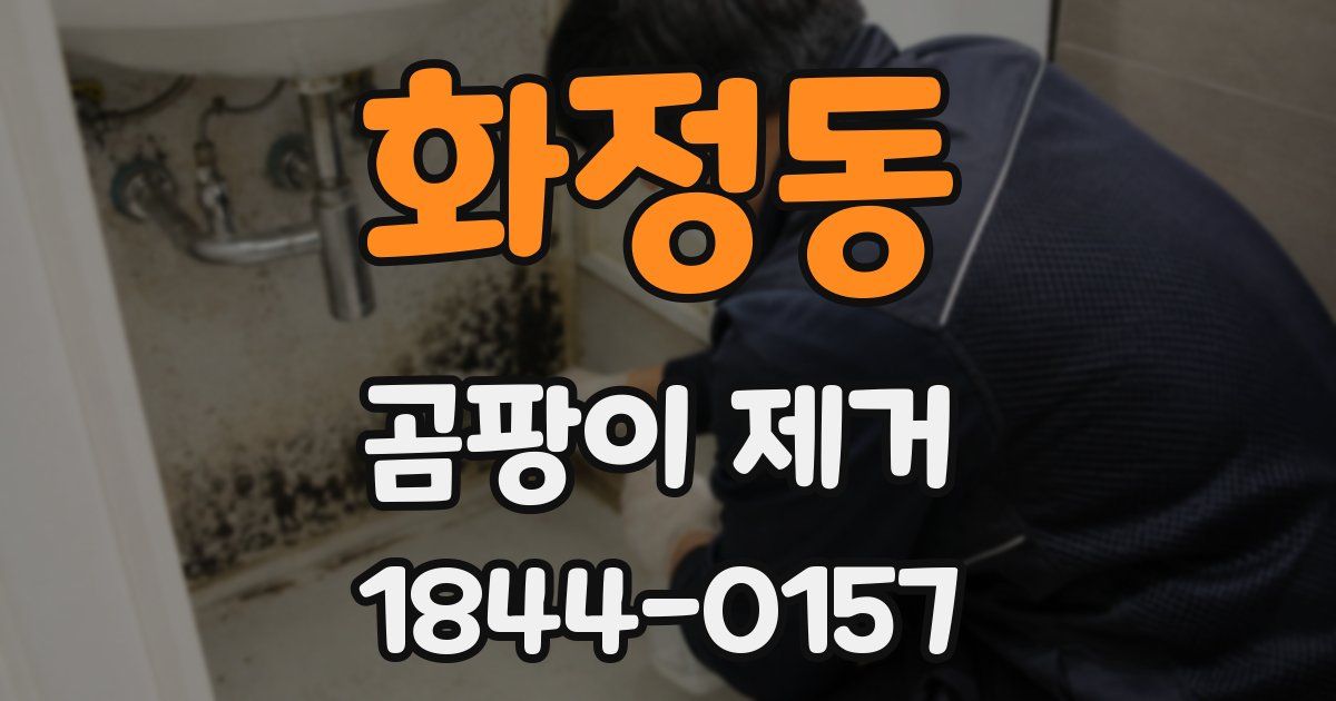 화정동 곰팡이 제거