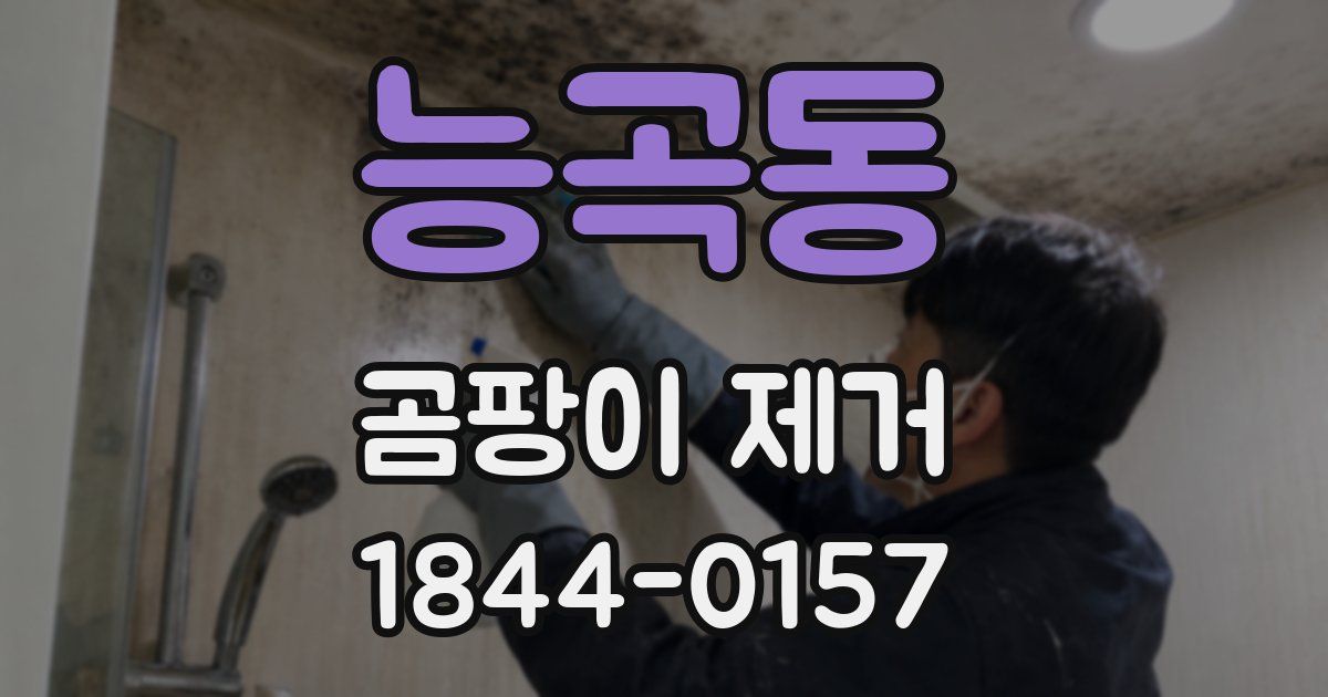 능곡동 곰팡이 제거