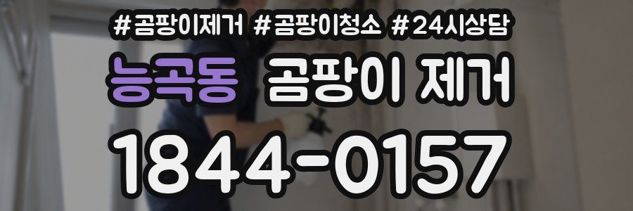 능곡동 곰팡이 제거