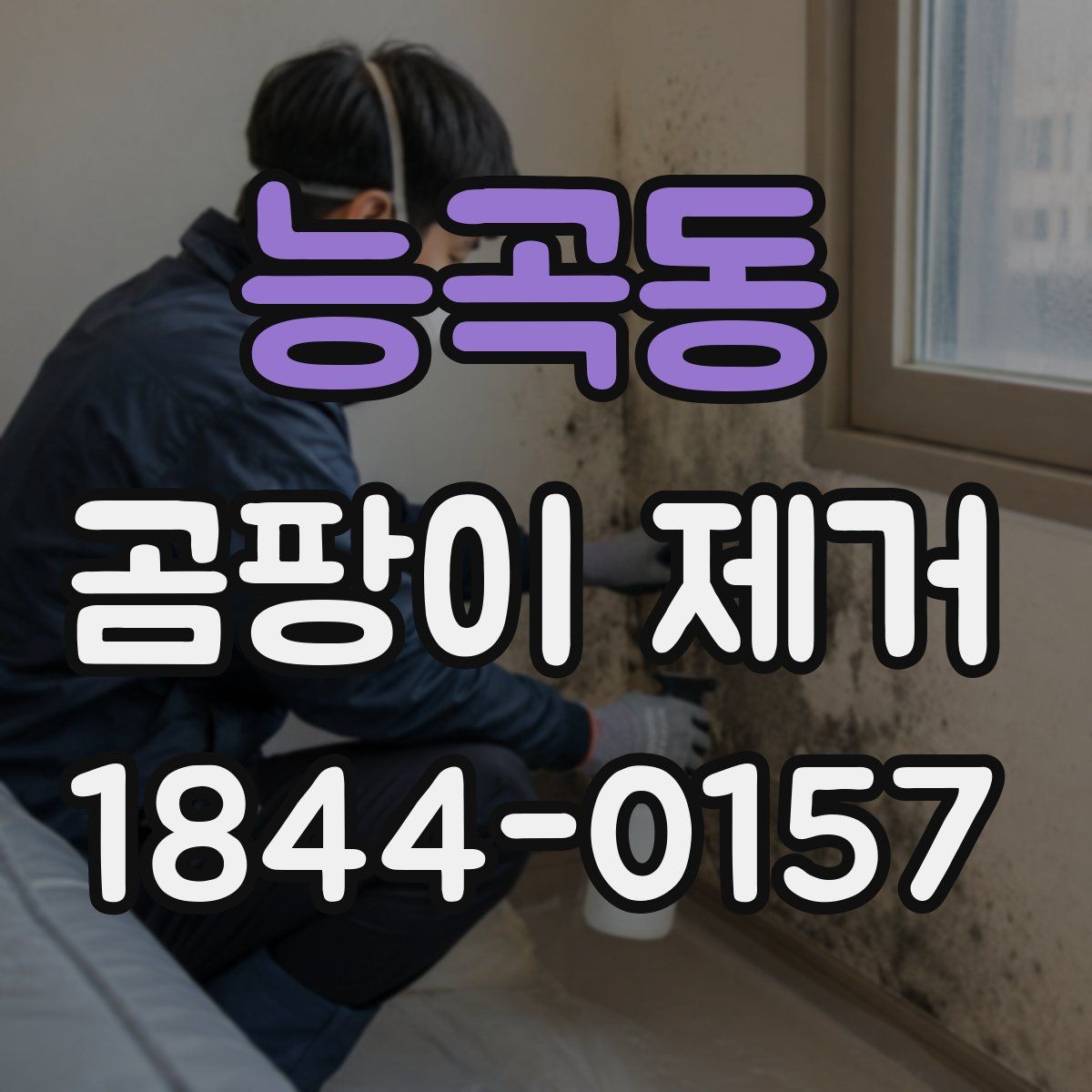 능곡동 곰팡이 제거