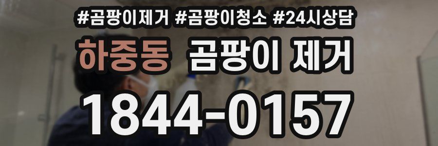 하중동 곰팡이 제거