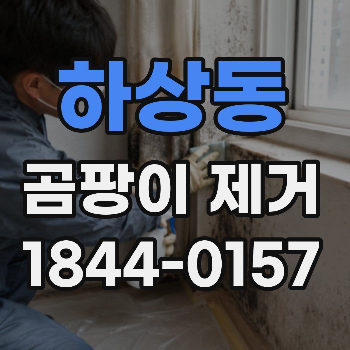 하상동 곰팡이 제거 화장실 인접 벽면 손상 줄이는 순서