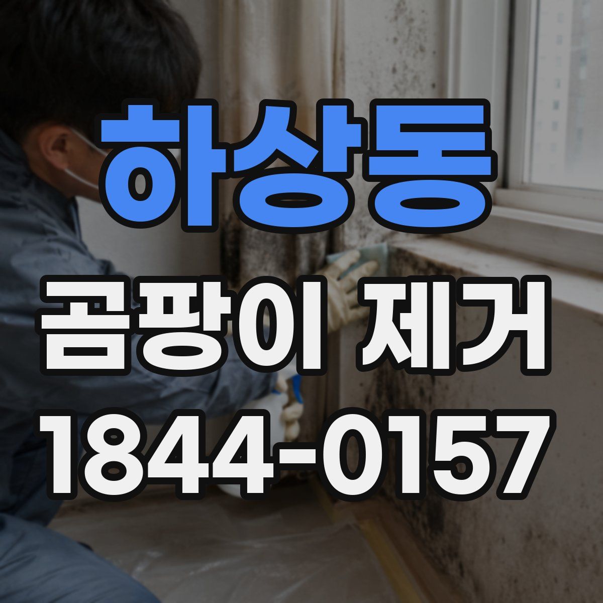 하상동 곰팡이 제거