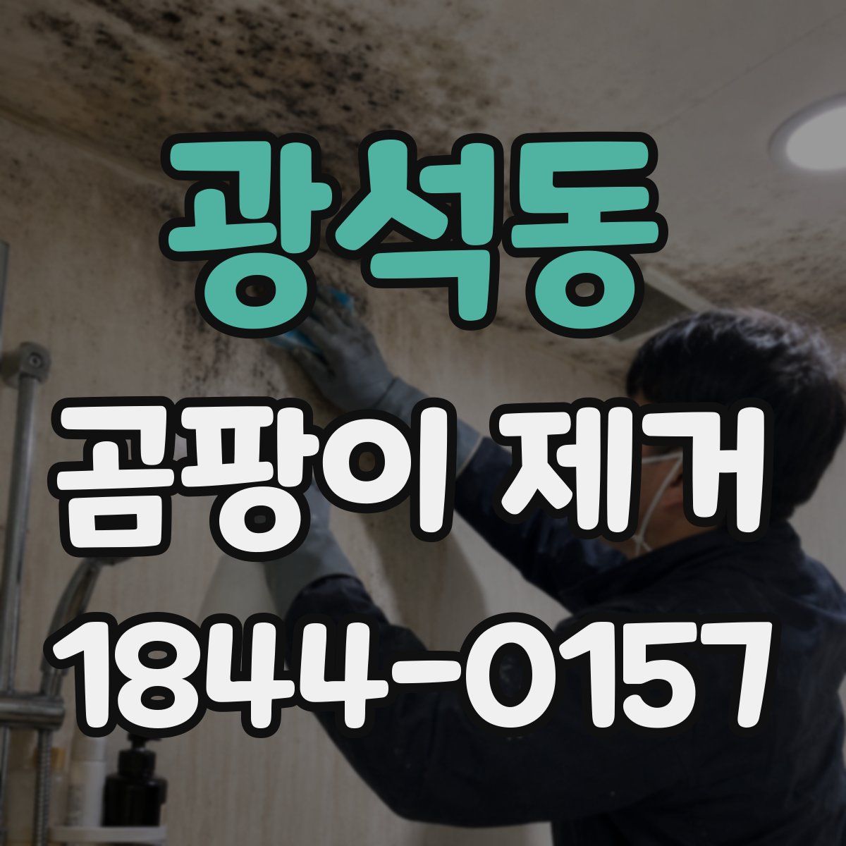 광석동 곰팡이 제거