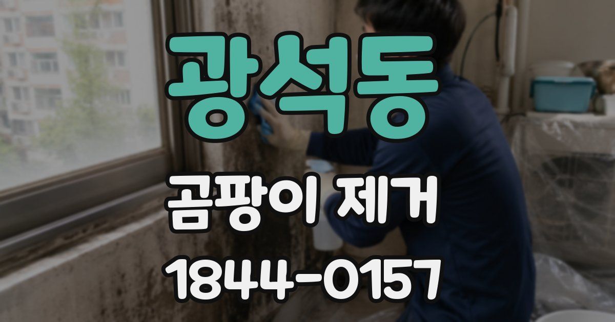 광석동 곰팡이 제거