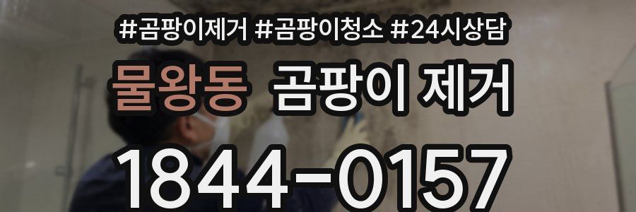 물왕동 곰팡이 제거