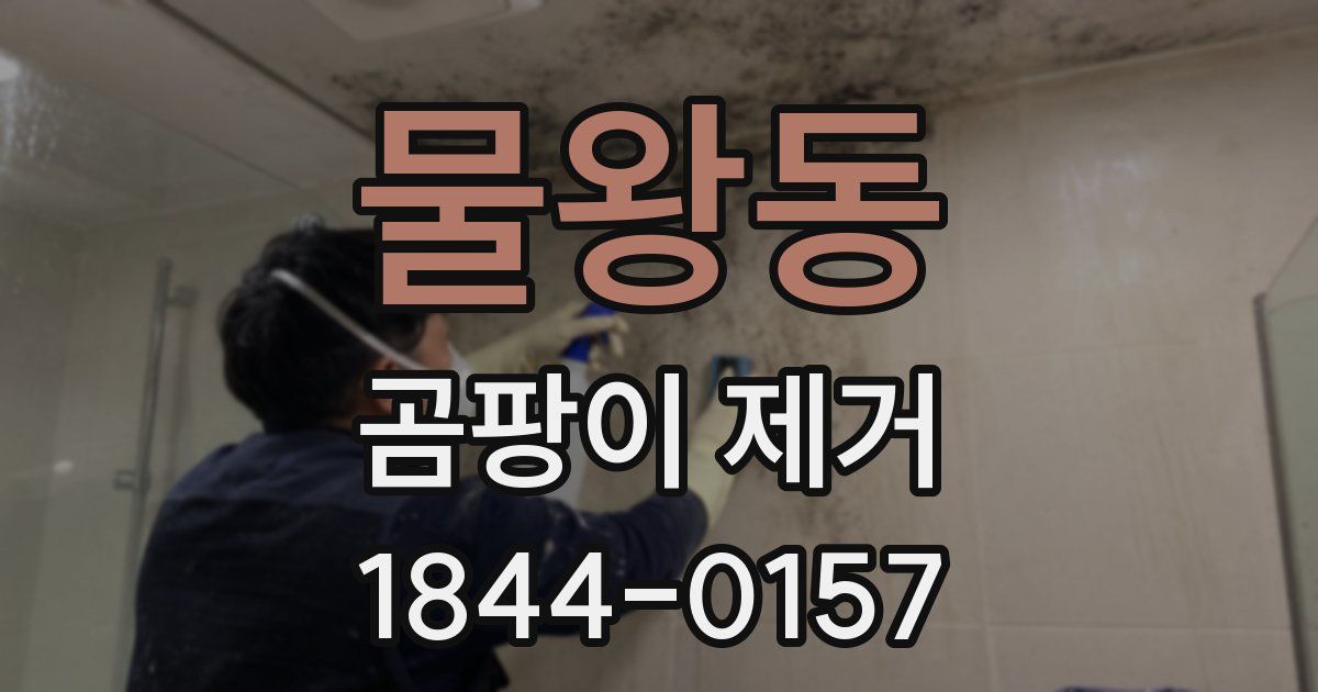 물왕동 곰팡이 제거