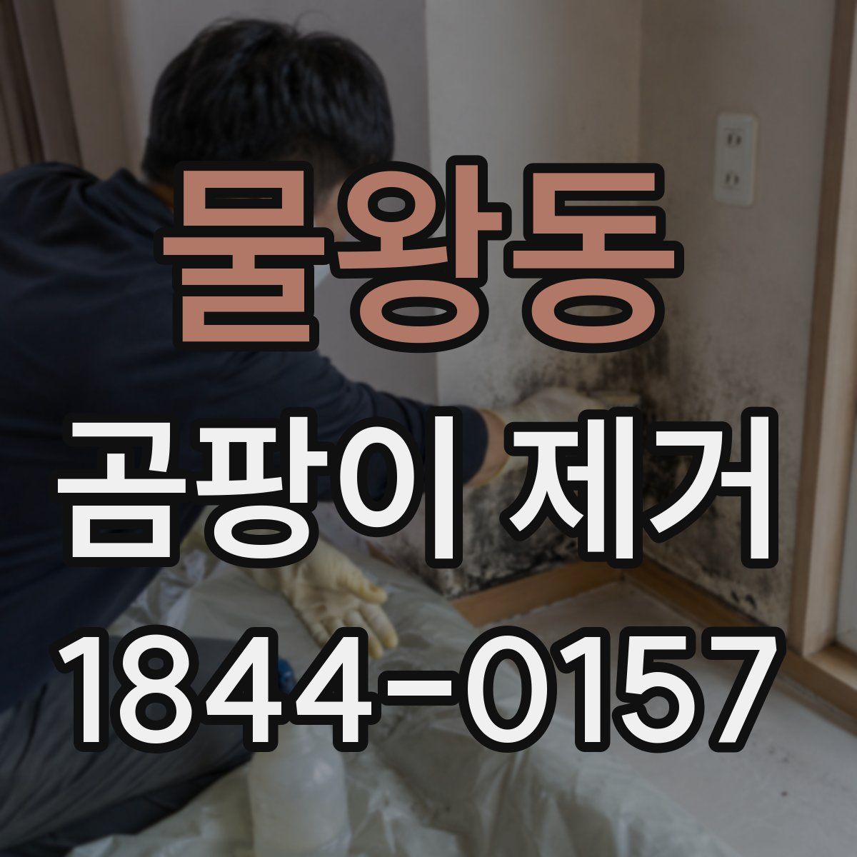 물왕동 곰팡이 제거