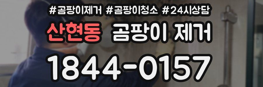 산현동 곰팡이 제거