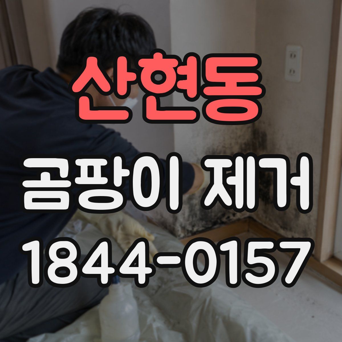 산현동 곰팡이 제거