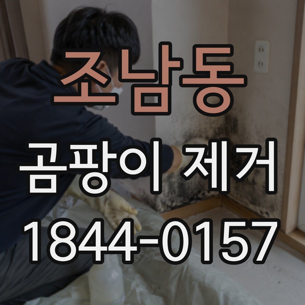 조남동 곰팡이 제거 성분 확인하며 제거제 고르는 요령