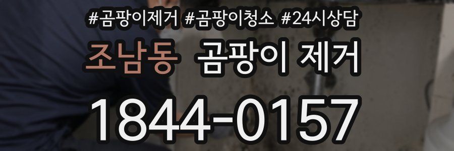 조남동 곰팡이 제거