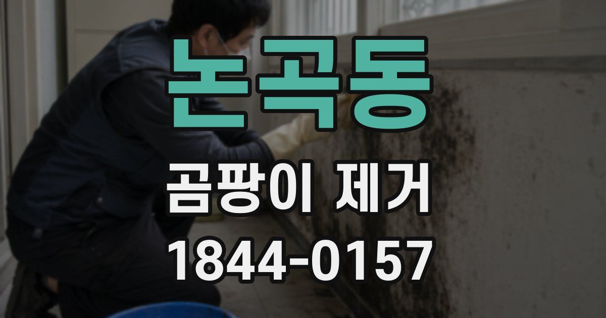 논곡동 곰팡이 제거
