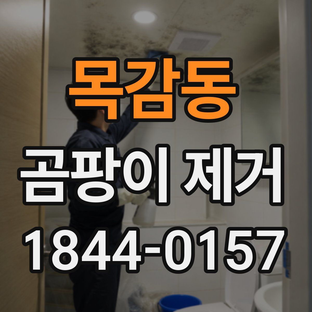 목감동 곰팡이 제거