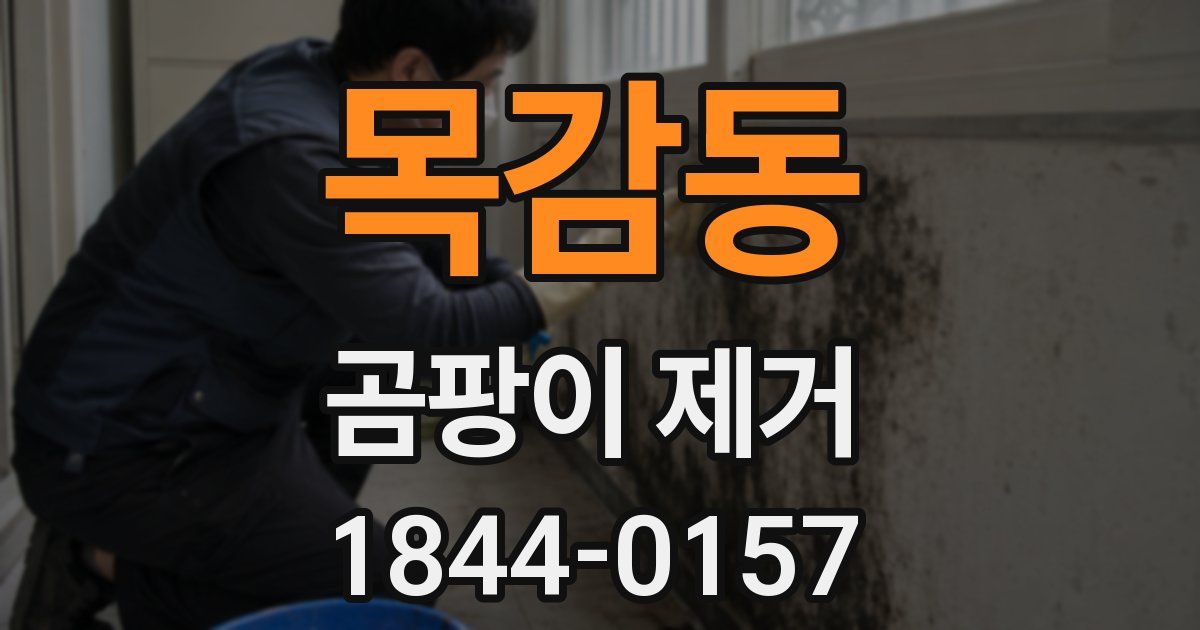목감동 곰팡이 제거