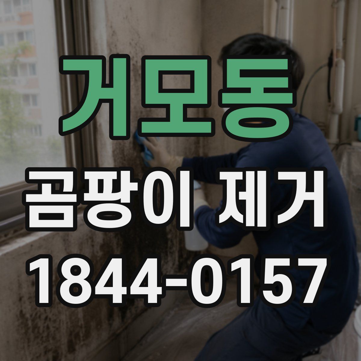 거모동 곰팡이 제거