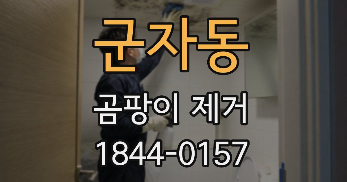 군자동 곰팡이 제거