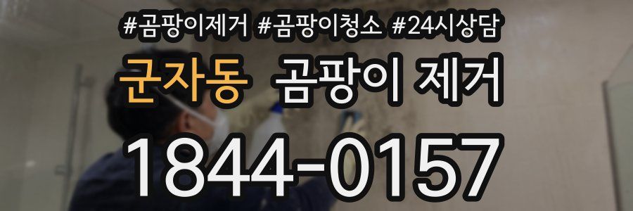 군자동 곰팡이 제거