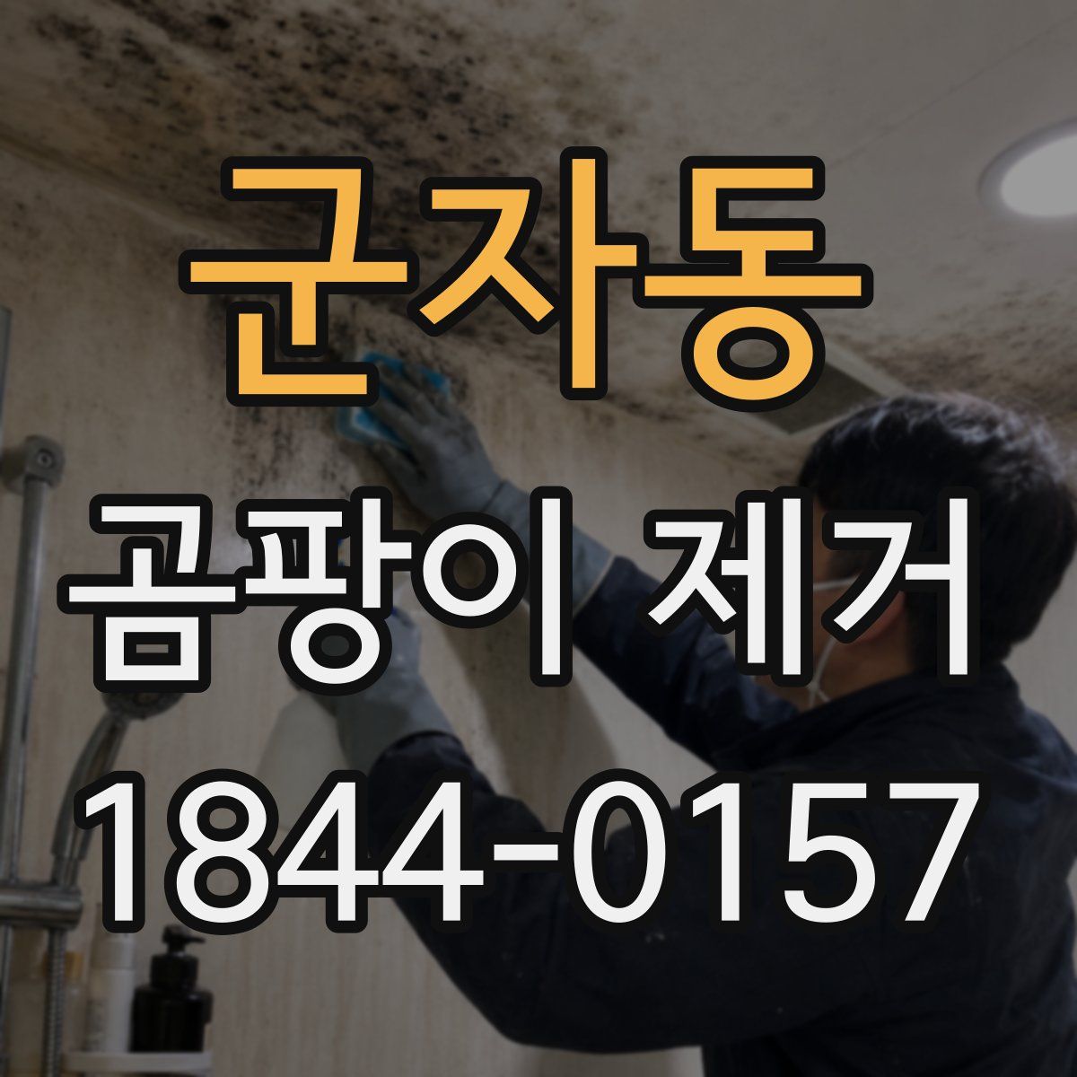 군자동 곰팡이 제거