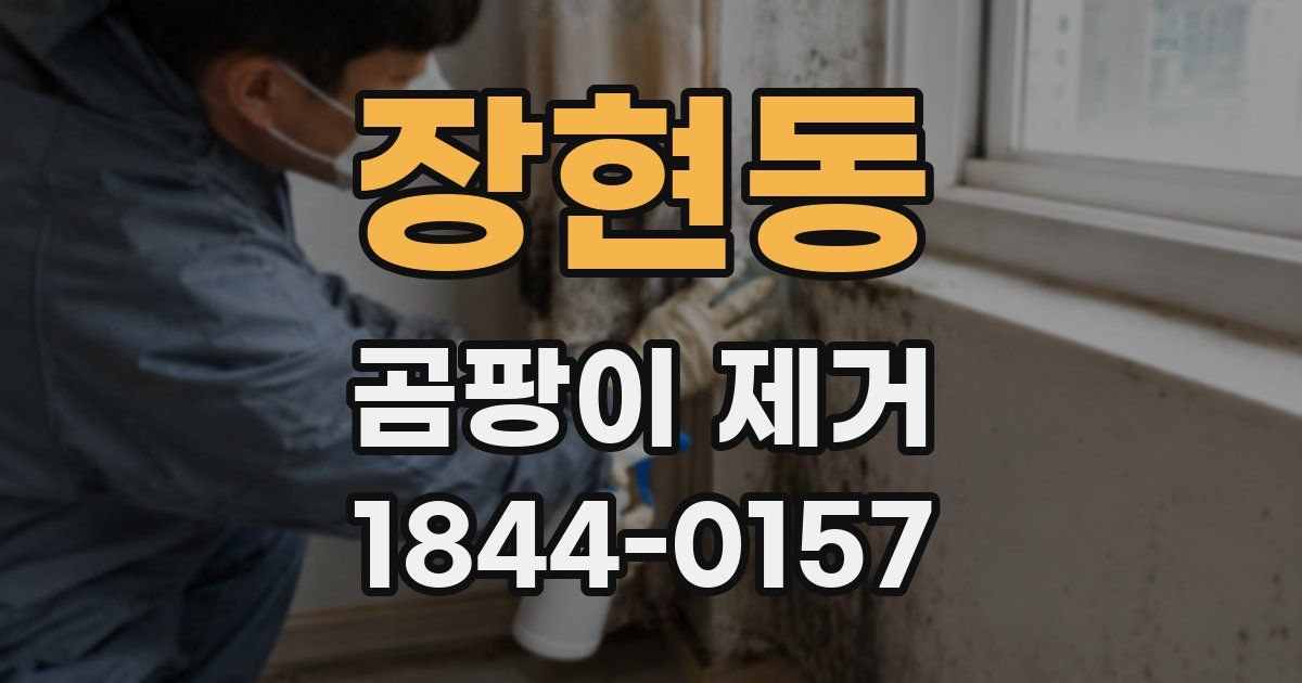장현동 곰팡이 제거