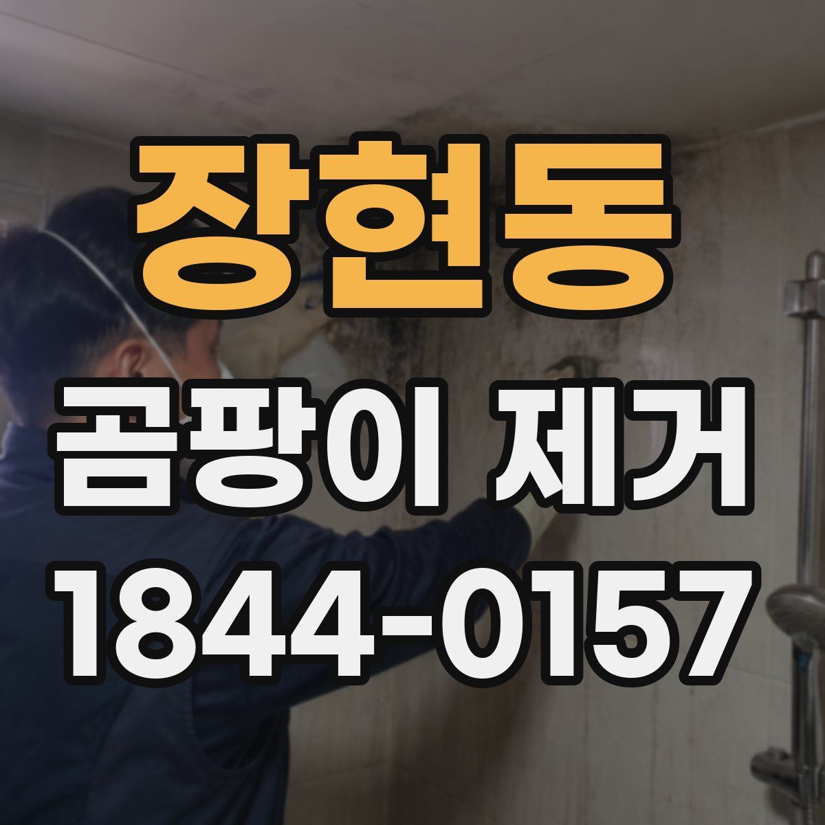장현동 곰팡이 제거