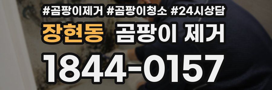 장현동 곰팡이 제거
