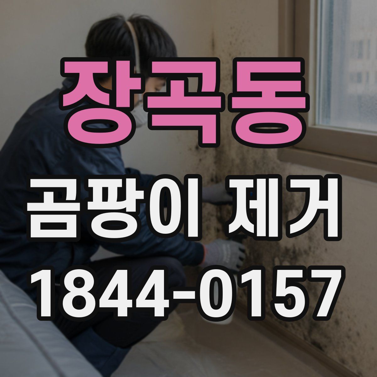 장곡동 곰팡이 제거
