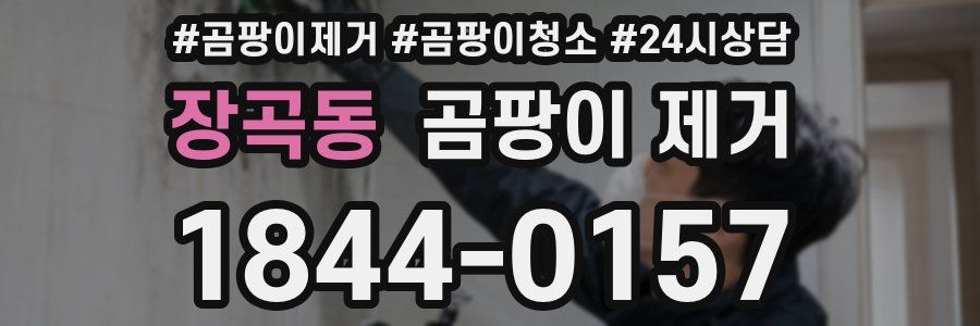 장곡동 곰팡이 제거