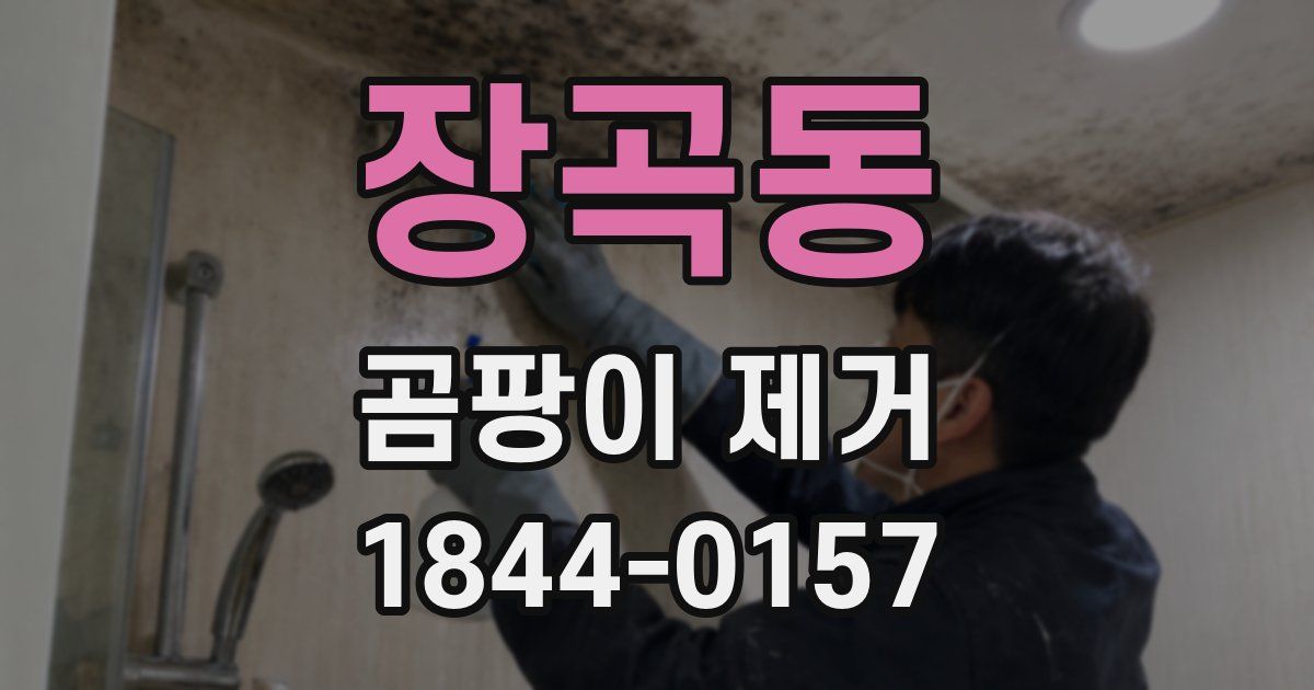 장곡동 곰팡이 제거