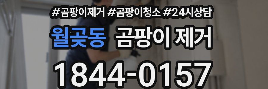 월곶동 곰팡이 제거