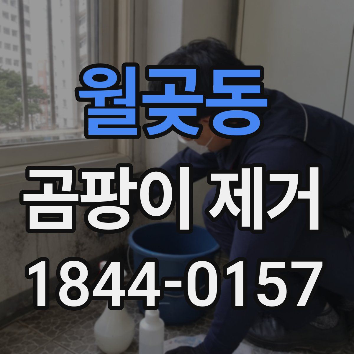 월곶동 곰팡이 제거
