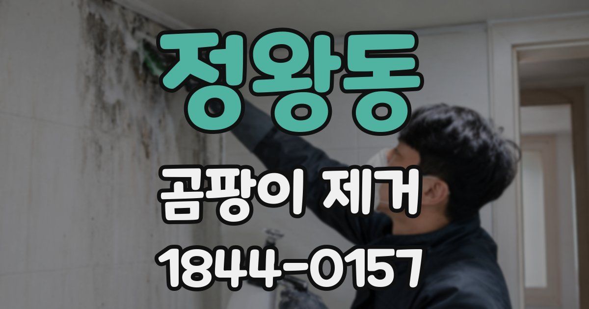 정왕동 곰팡이 제거