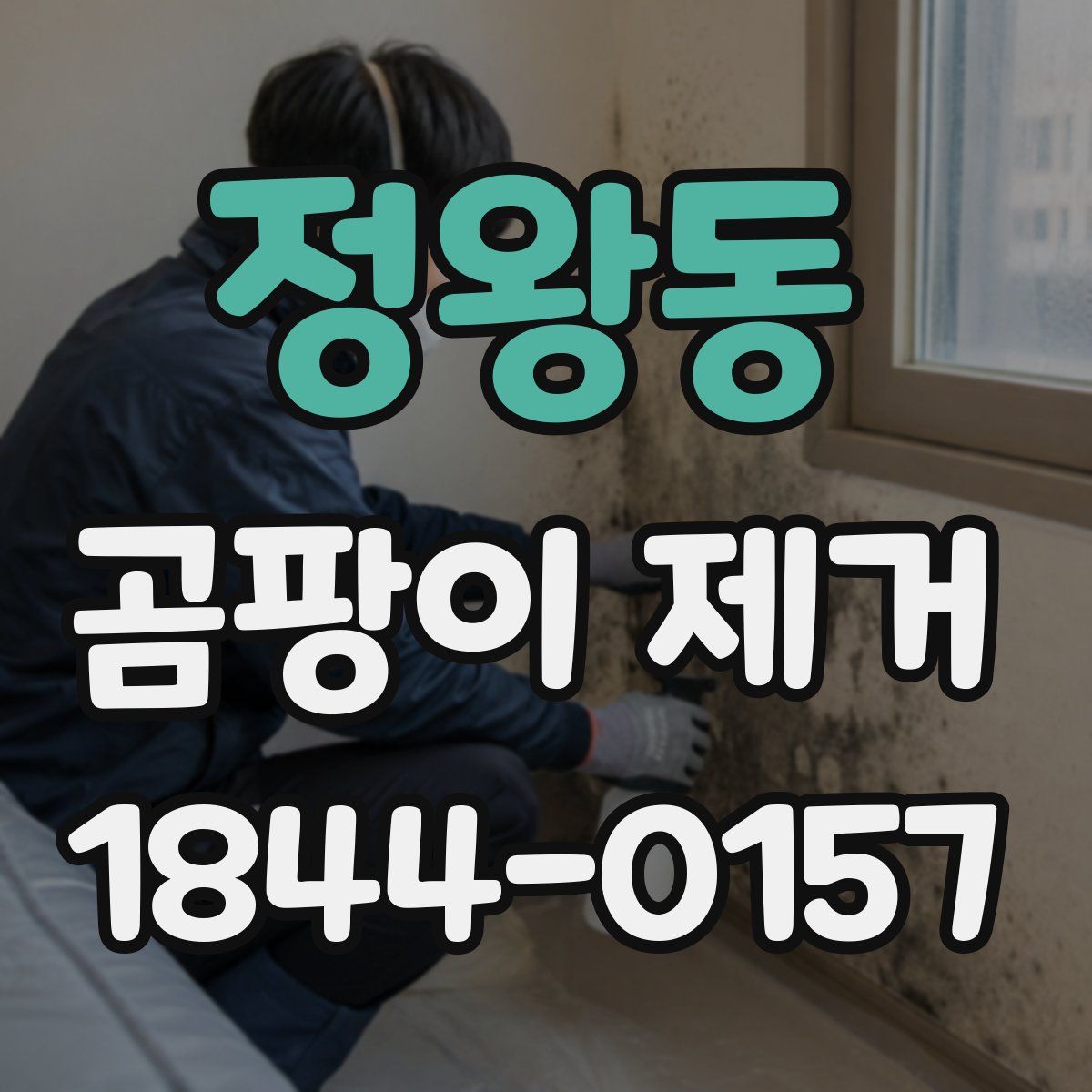 정왕동 곰팡이 제거