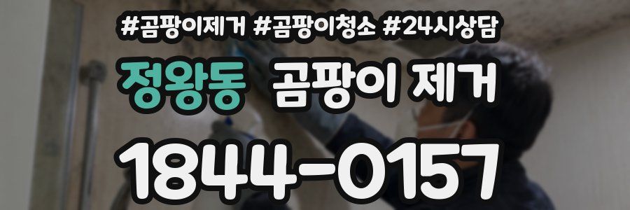 정왕동 곰팡이 제거