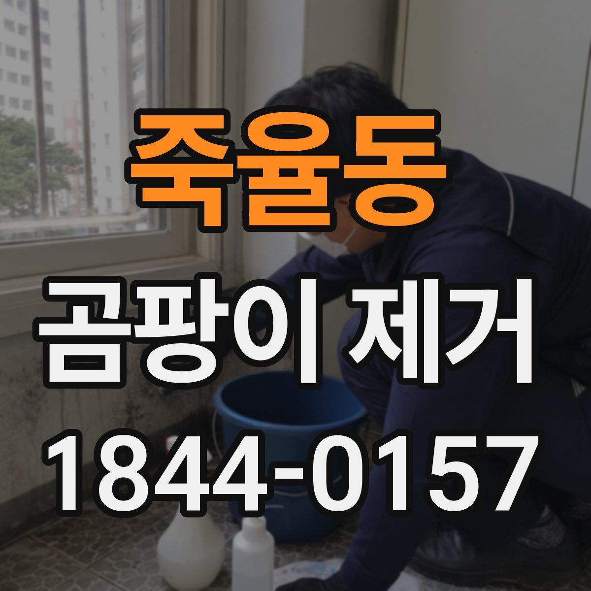 죽율동 곰팡이 제거