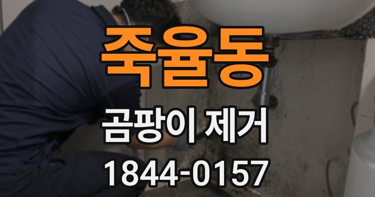 죽율동 곰팡이 제거