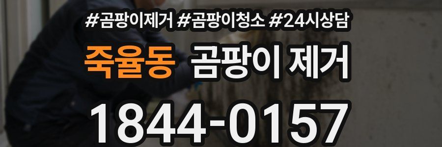 죽율동 곰팡이 제거