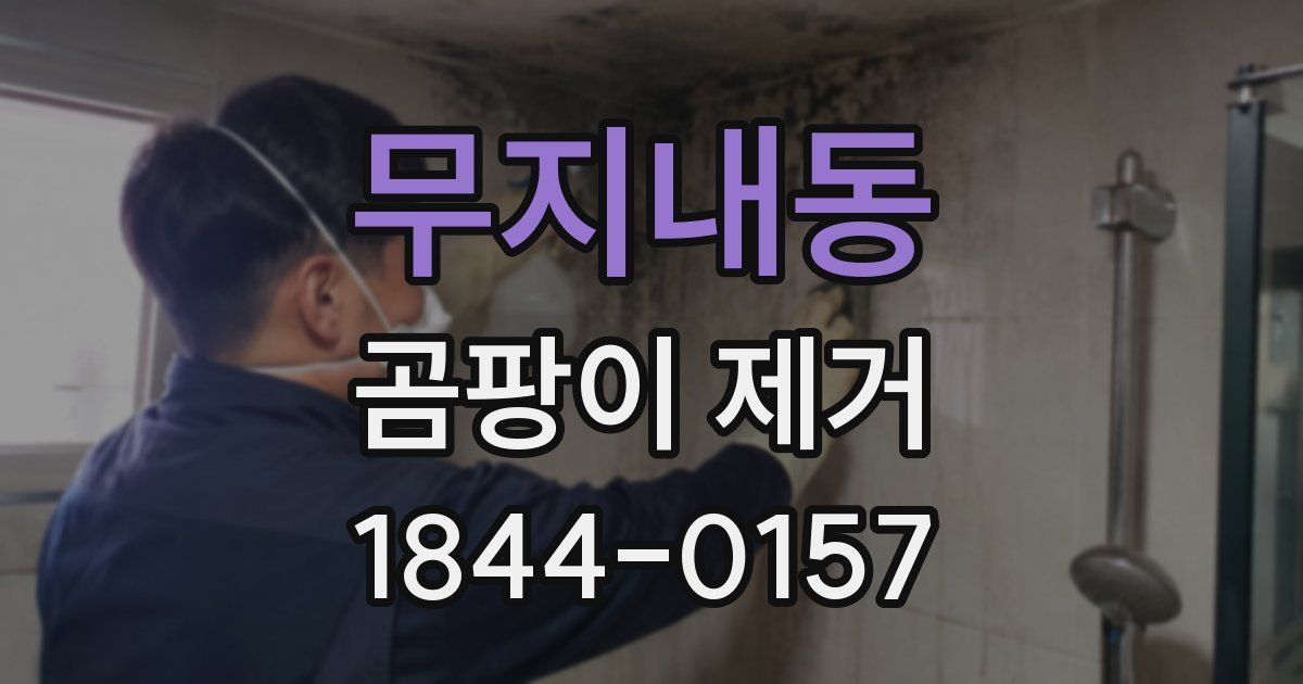 무지내동 곰팡이 제거